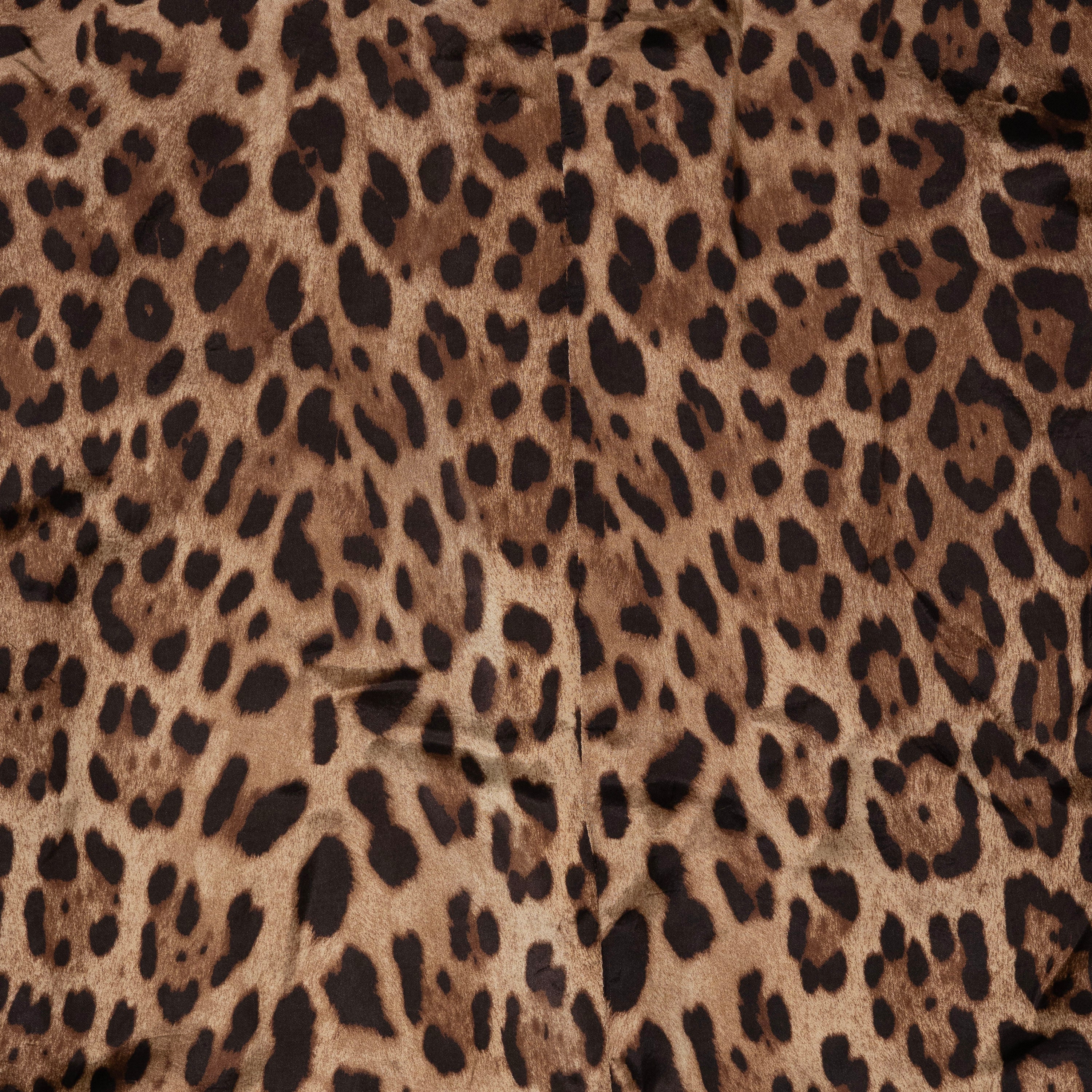 Sam Nagagy - Wild Safari