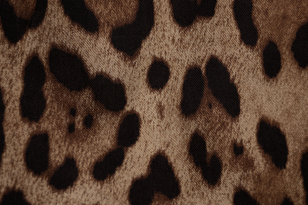 Sam Nagagy selvatic black